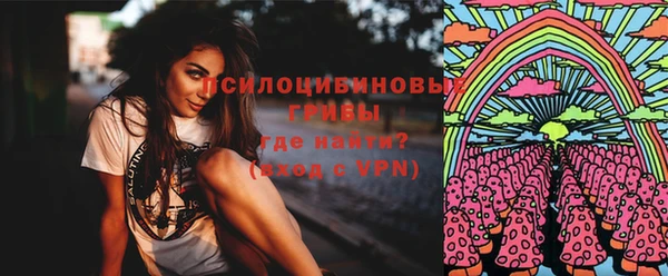молекула духа Балахна