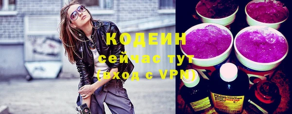 индика Козельск