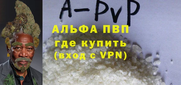 молекула духа Балахна