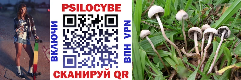 Галлюциногенные грибы GOLDEN TEACHER  купить   Новоузенск 